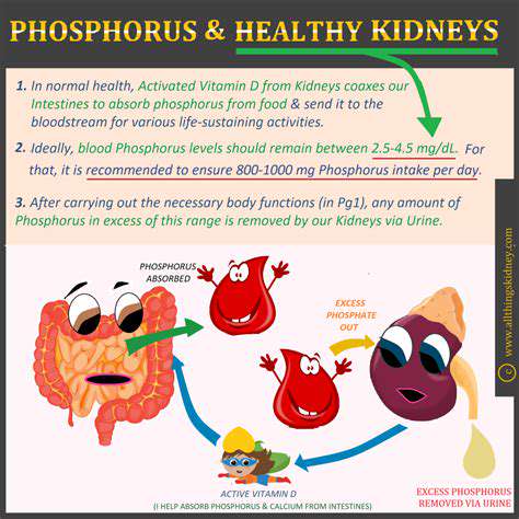 TheImportanceofPhosphorusControlinKidneyDiets