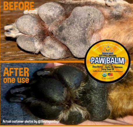 Paw Protection Balms: For Cracked Paws