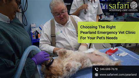 Emergency Vet Care: Knowing When to Go