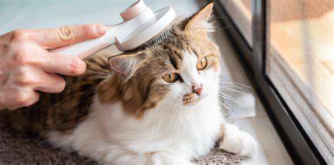MonitoringandManagingHairballs