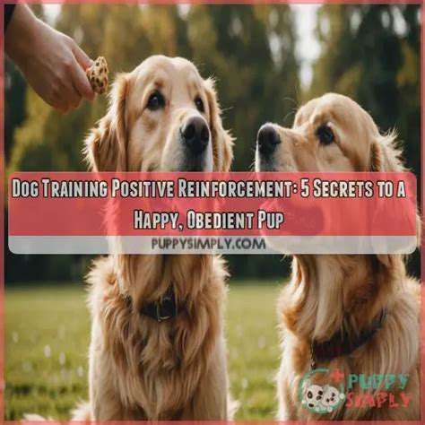RewardingSuccess:PositiveReinforcementforaHappyPuppy