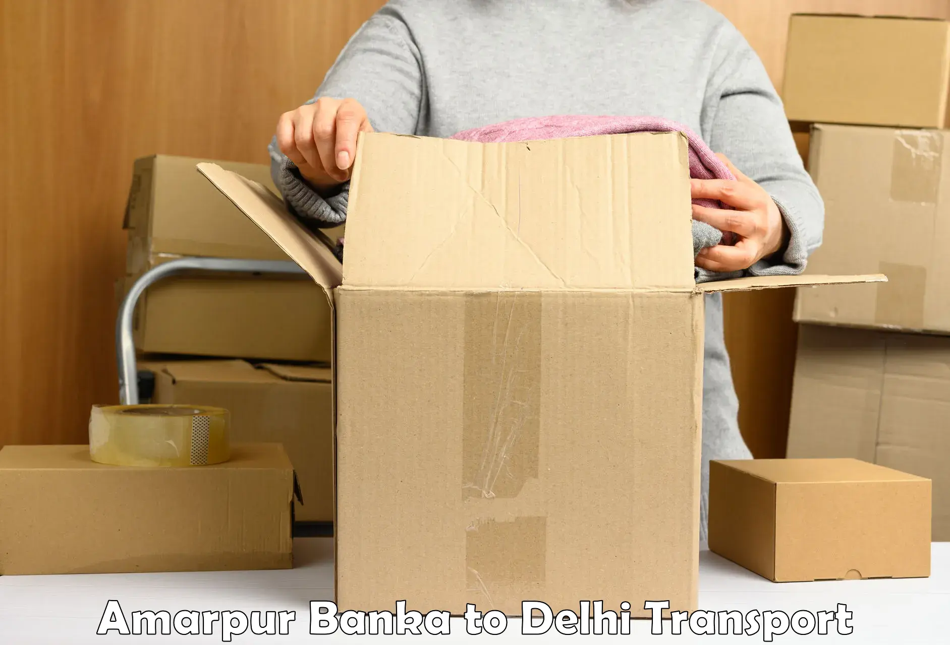 Container transport service Amarpur Banka to NIT Delhi