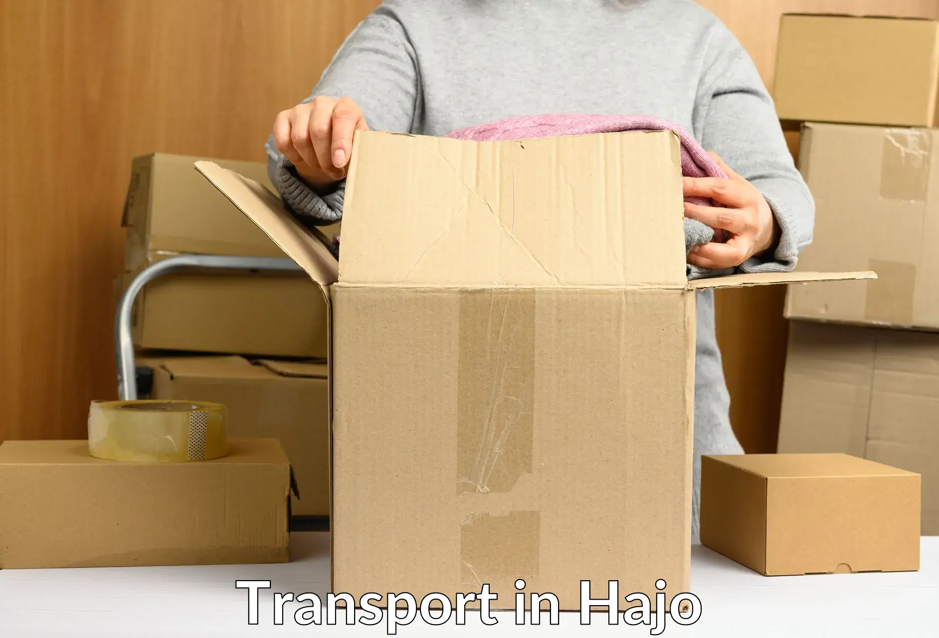 Luggage transport services in Hajo