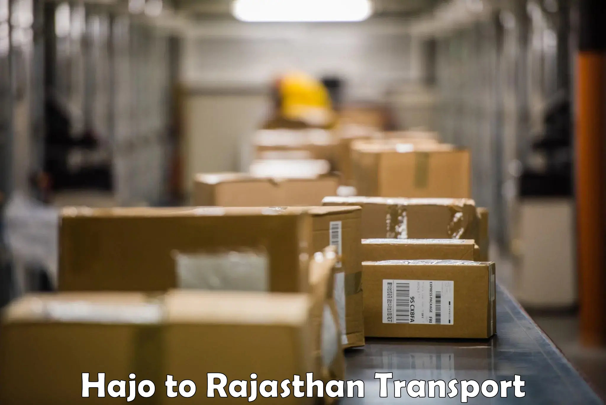 Cargo train transport services Hajo to Rajsamand