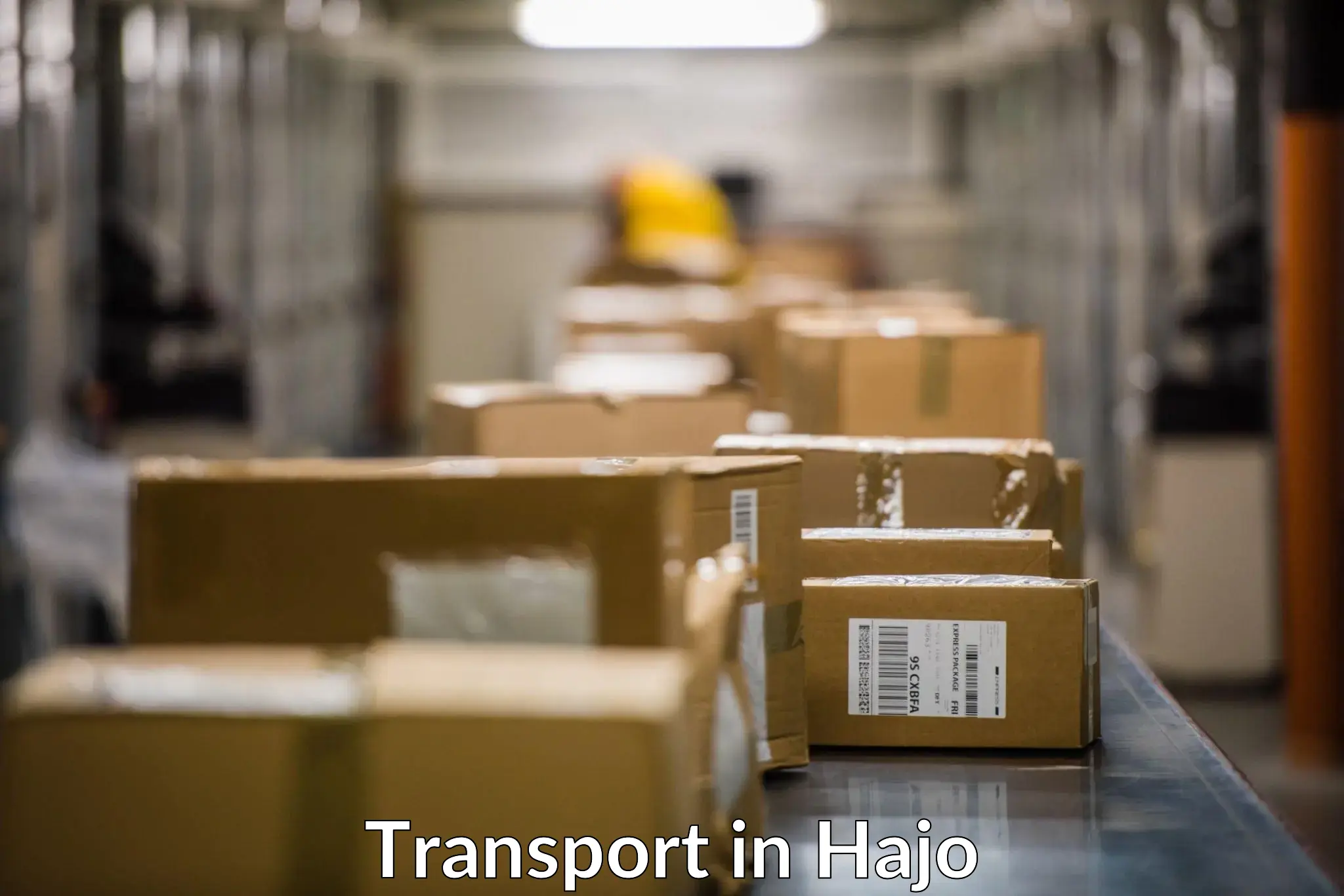 Online transport in Hajo