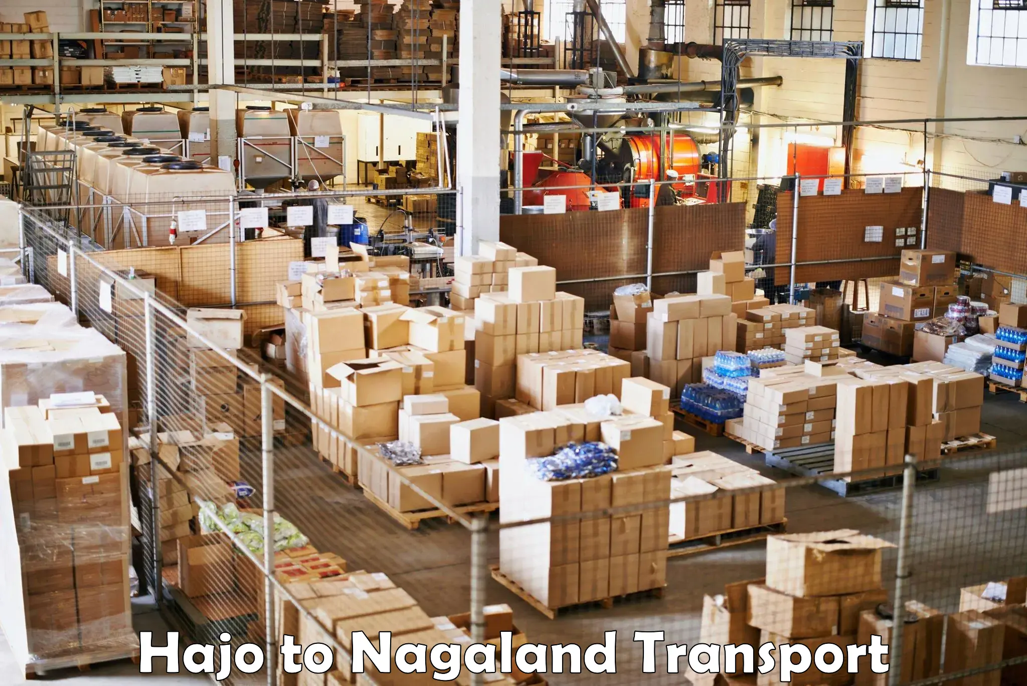 Pick up transport service Hajo to Nagaland