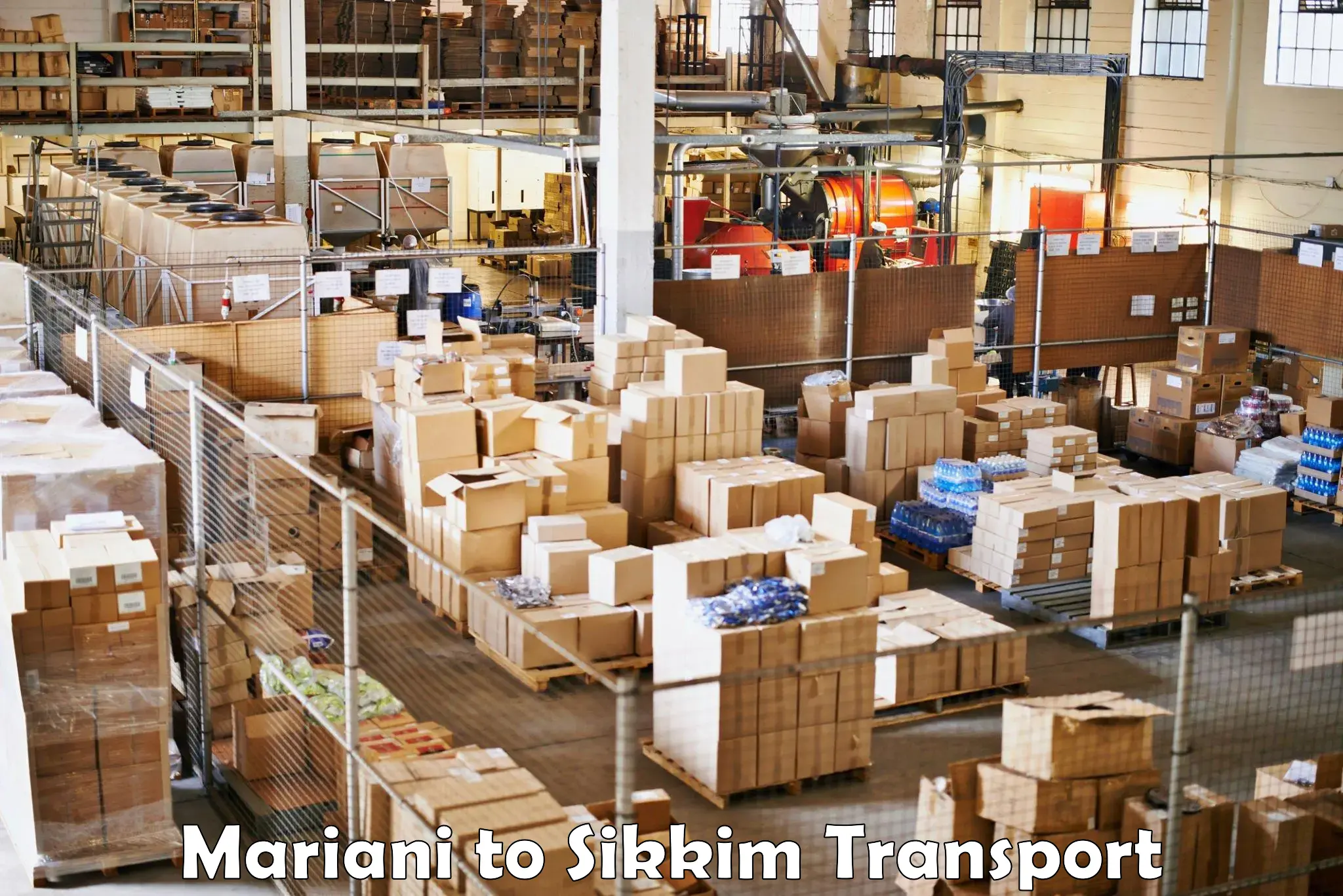 International cargo transportation services Mariani to NIT Sikkim