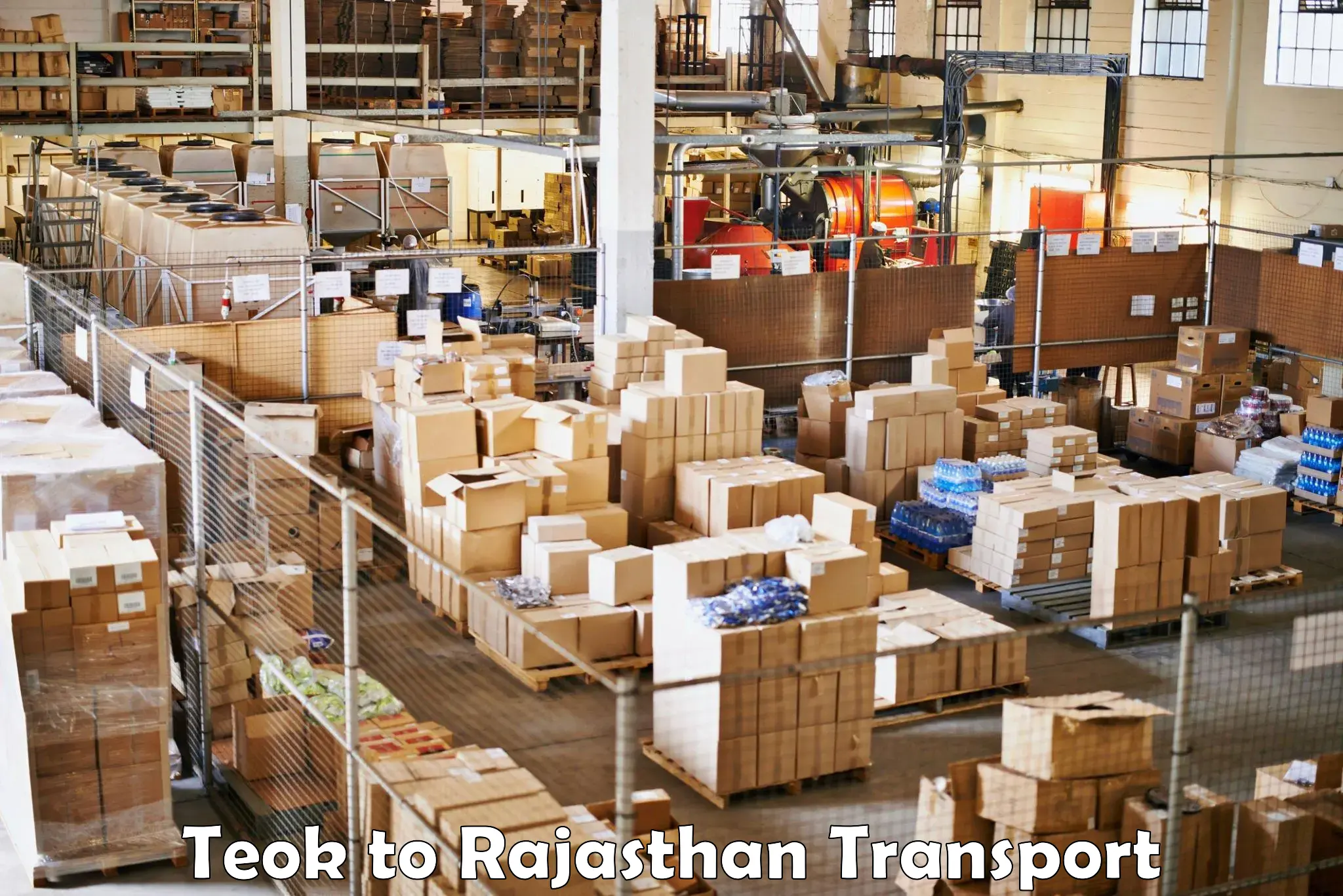Cargo transport services Teok to Gotan