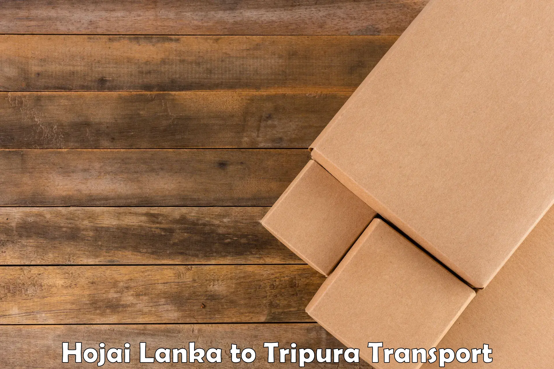 Logistics transportation services Hojai Lanka to Udaipur Tripura