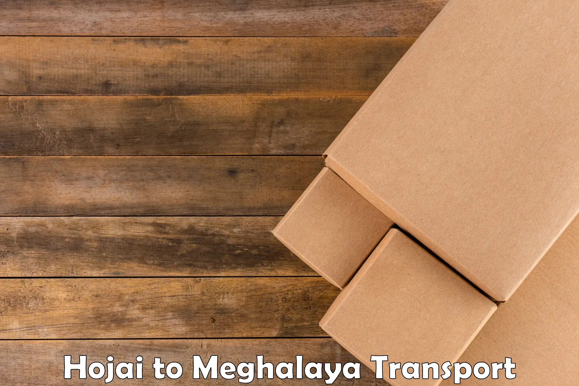 Two wheeler transport services Hojai to NIT Meghalaya