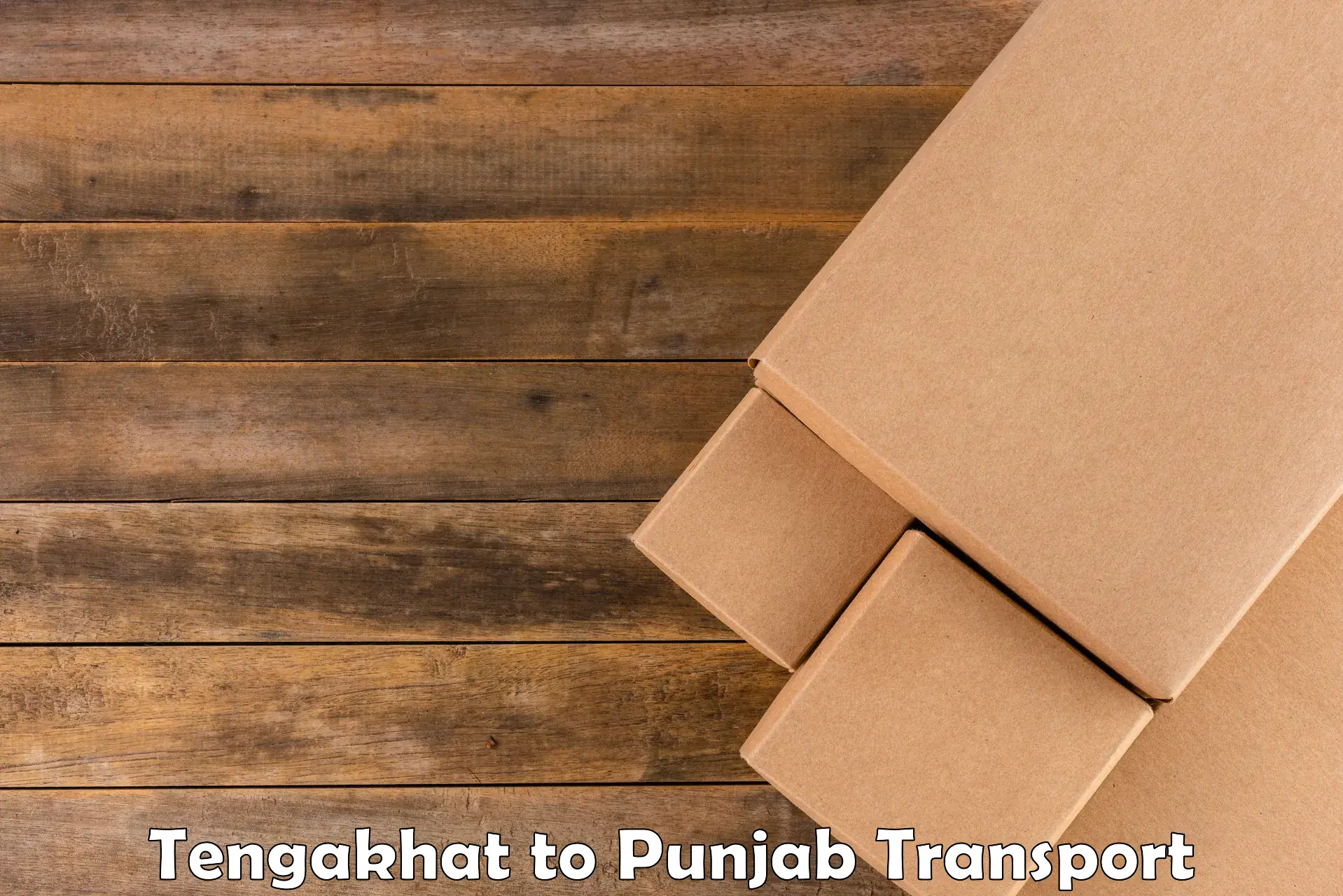 Road transport services Tengakhat to Ludhiana