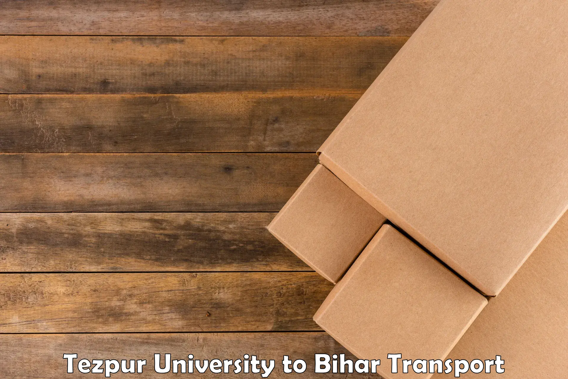 Vehicle parcel service Tezpur University to Dinara