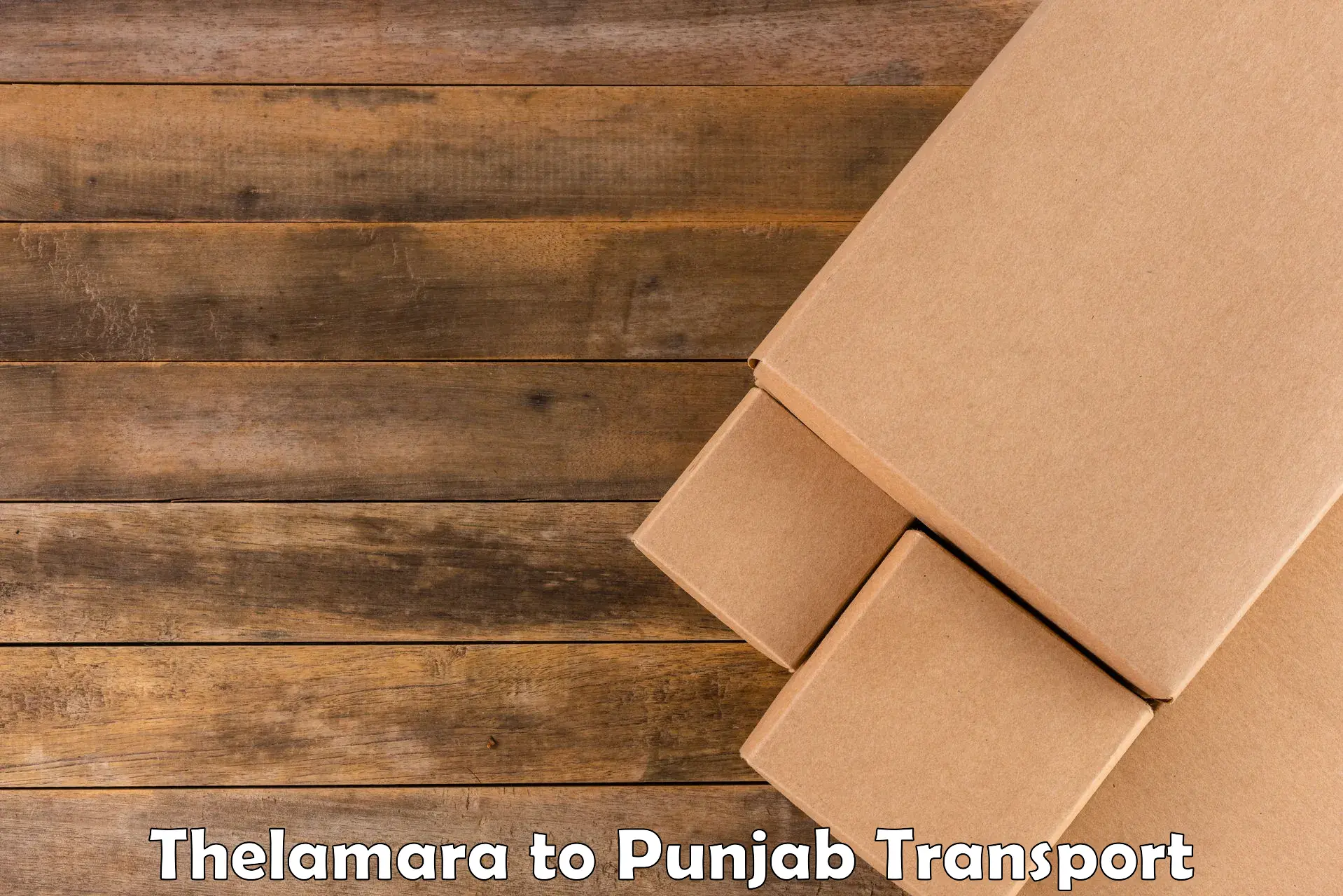 Package delivery services Thelamara to Rajpura