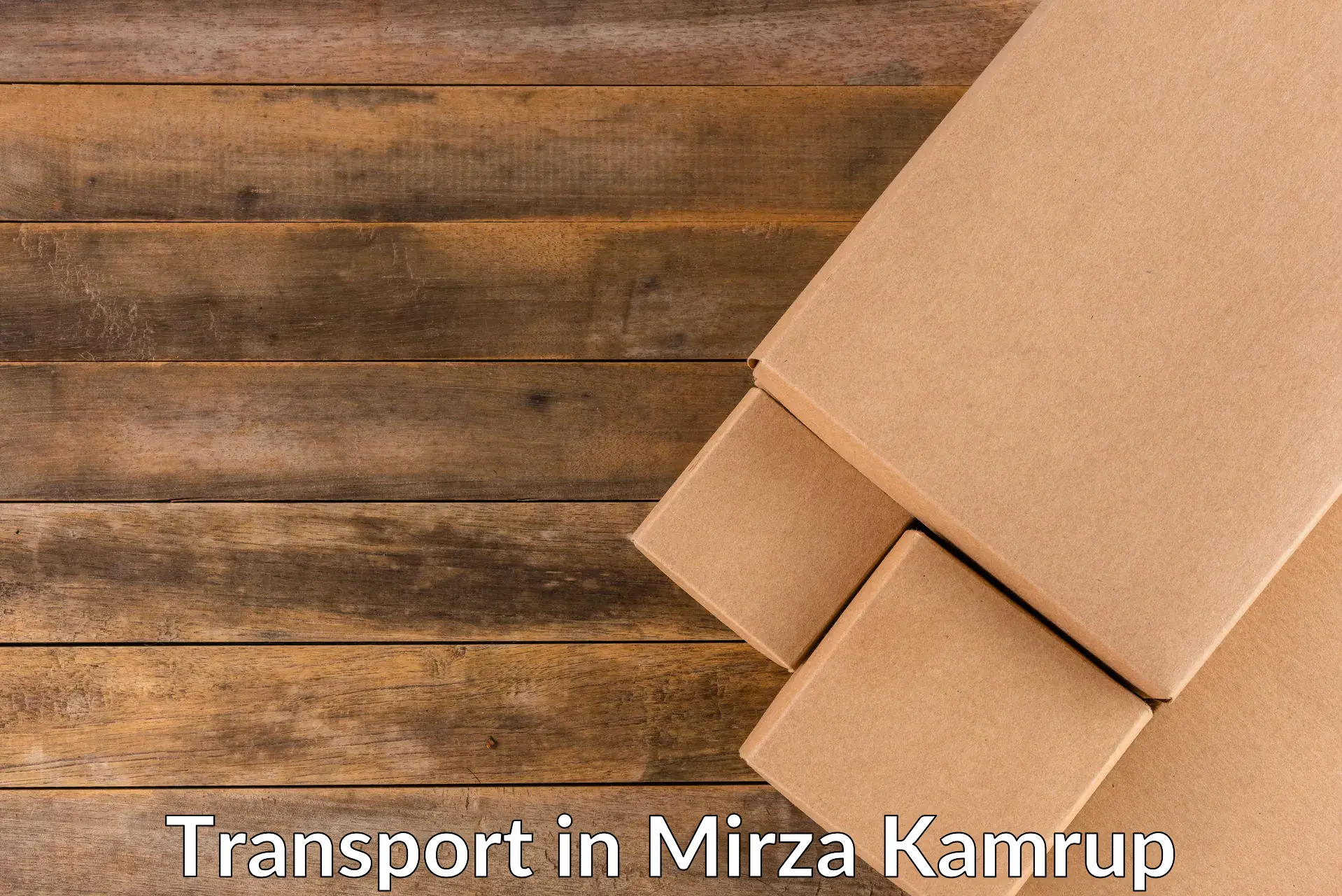 Container transport service in Mirza Kamrup