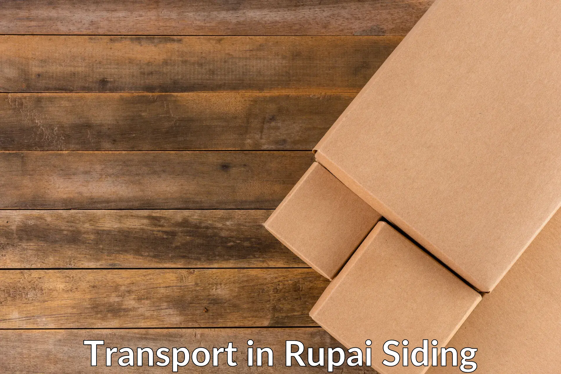 India truck logistics services in Rupai Siding