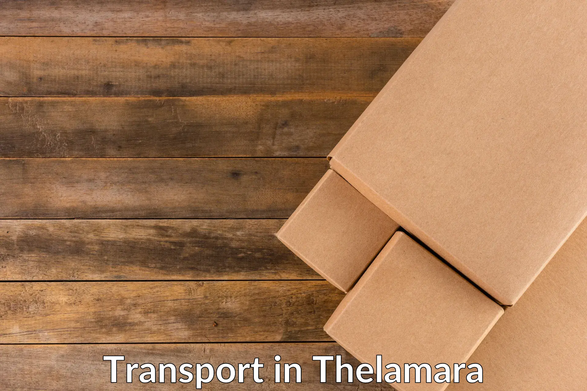 Luggage transport services in Thelamara