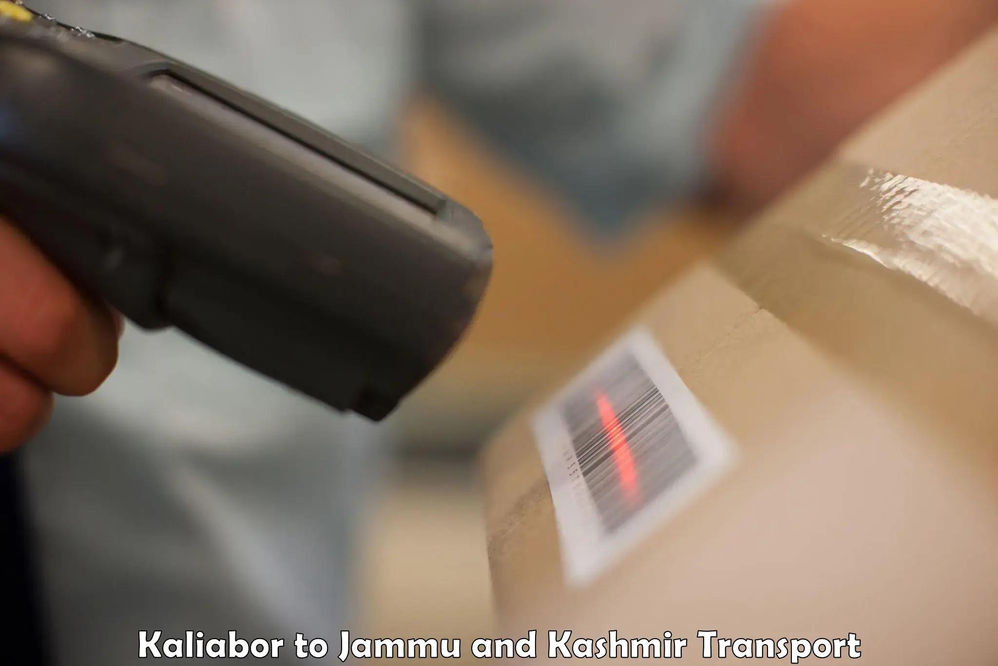 Air freight transport services Kaliabor to Jammu and Kashmir