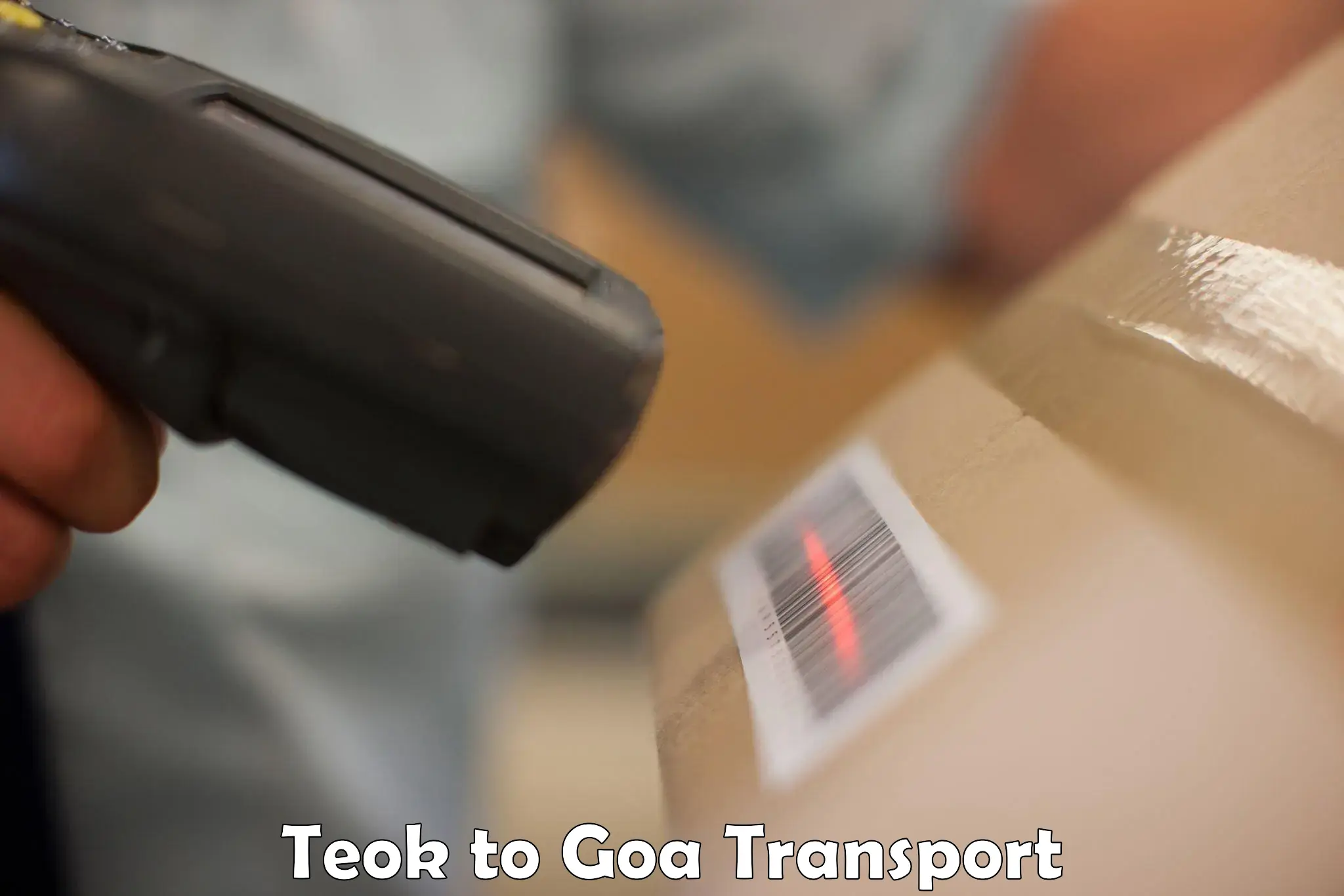 Air freight transport services Teok to Goa
