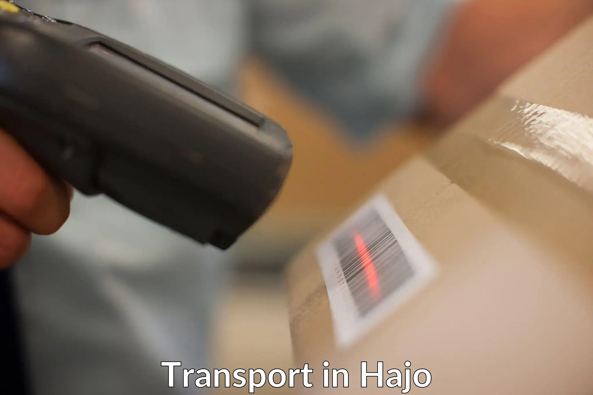 Transport in sharing in Hajo