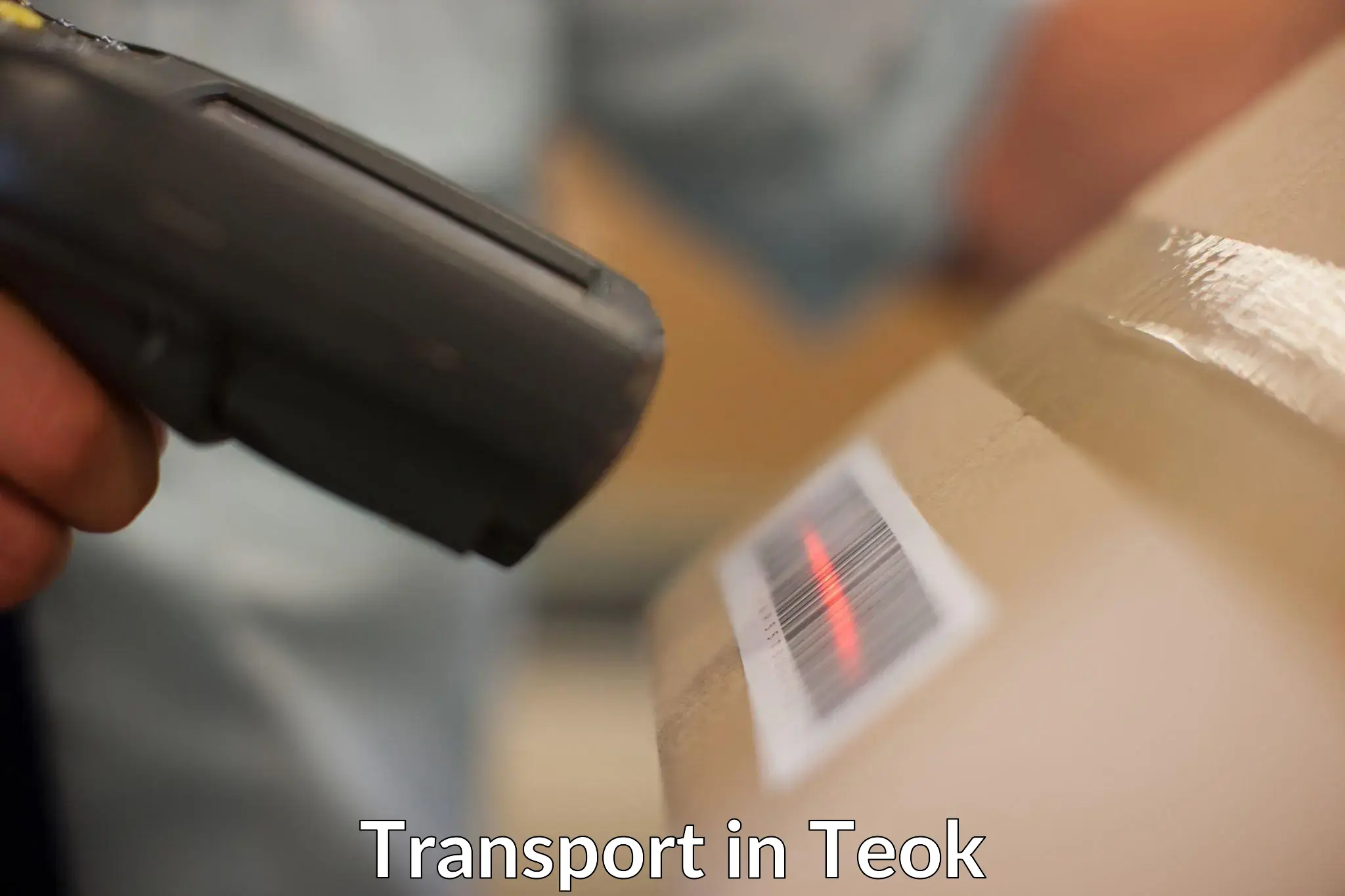 Shipping services in Teok