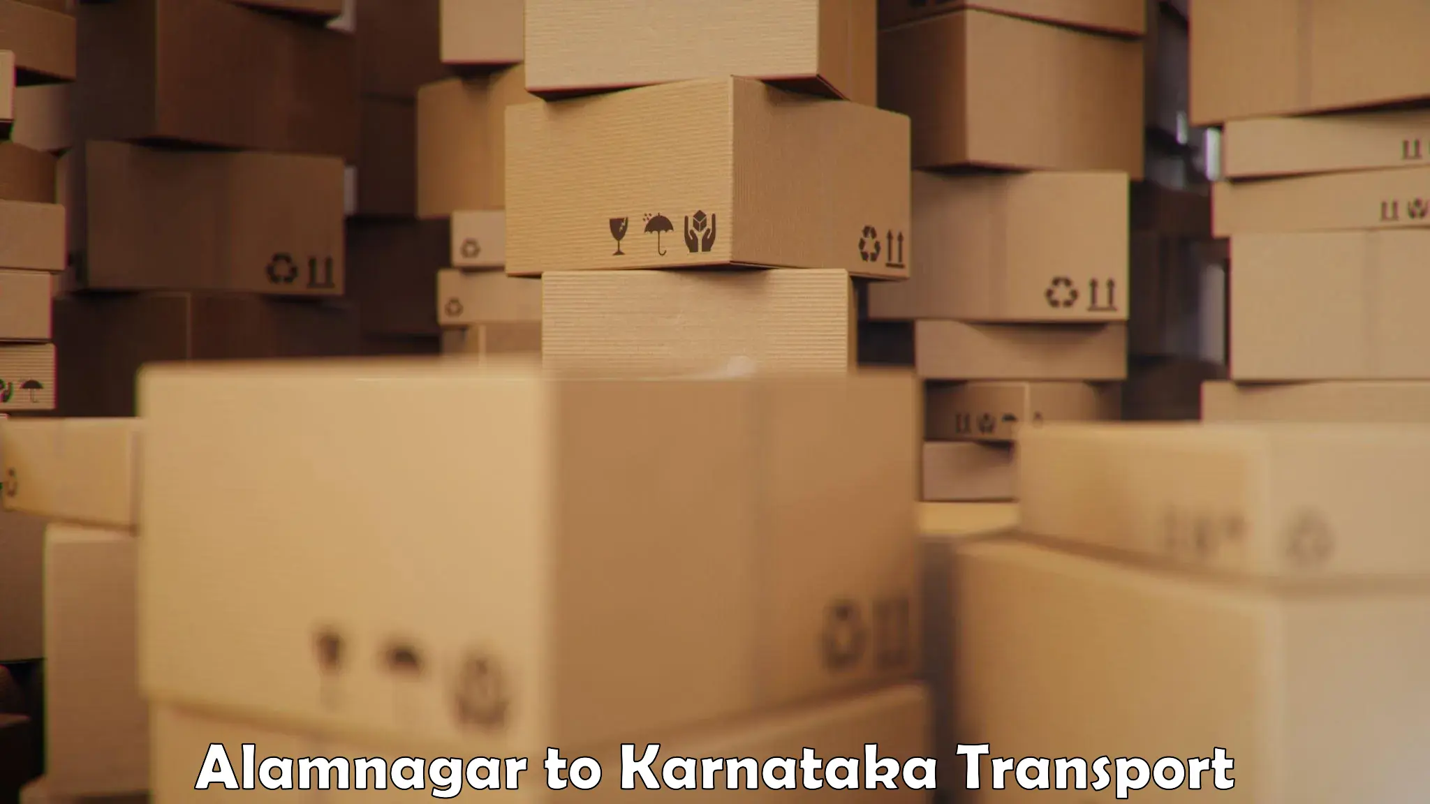 Two wheeler transport services Alamnagar to Karnataka