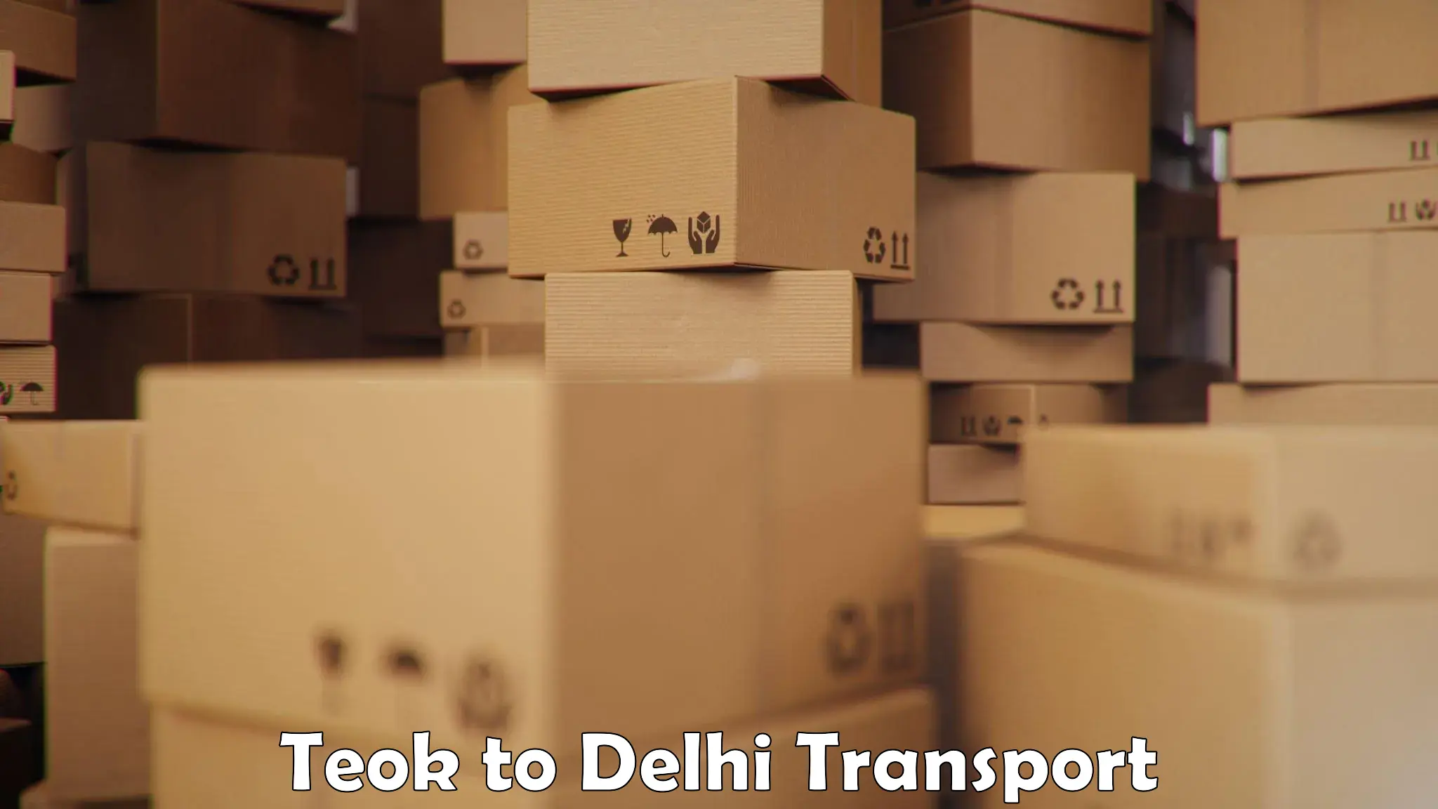 Goods delivery service Teok to Delhi