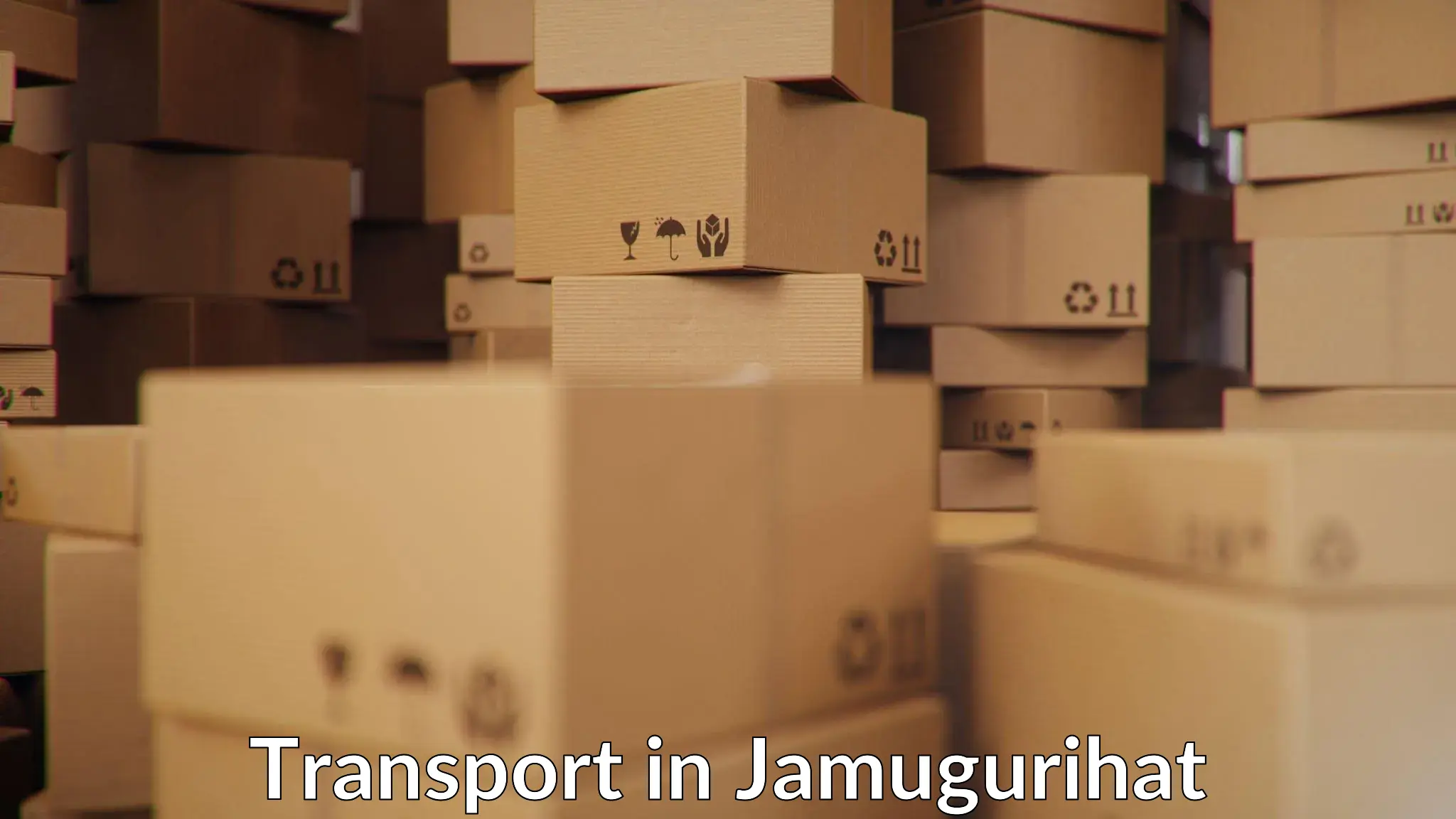 Delivery service in Jamugurihat